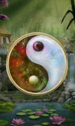 Panda Money